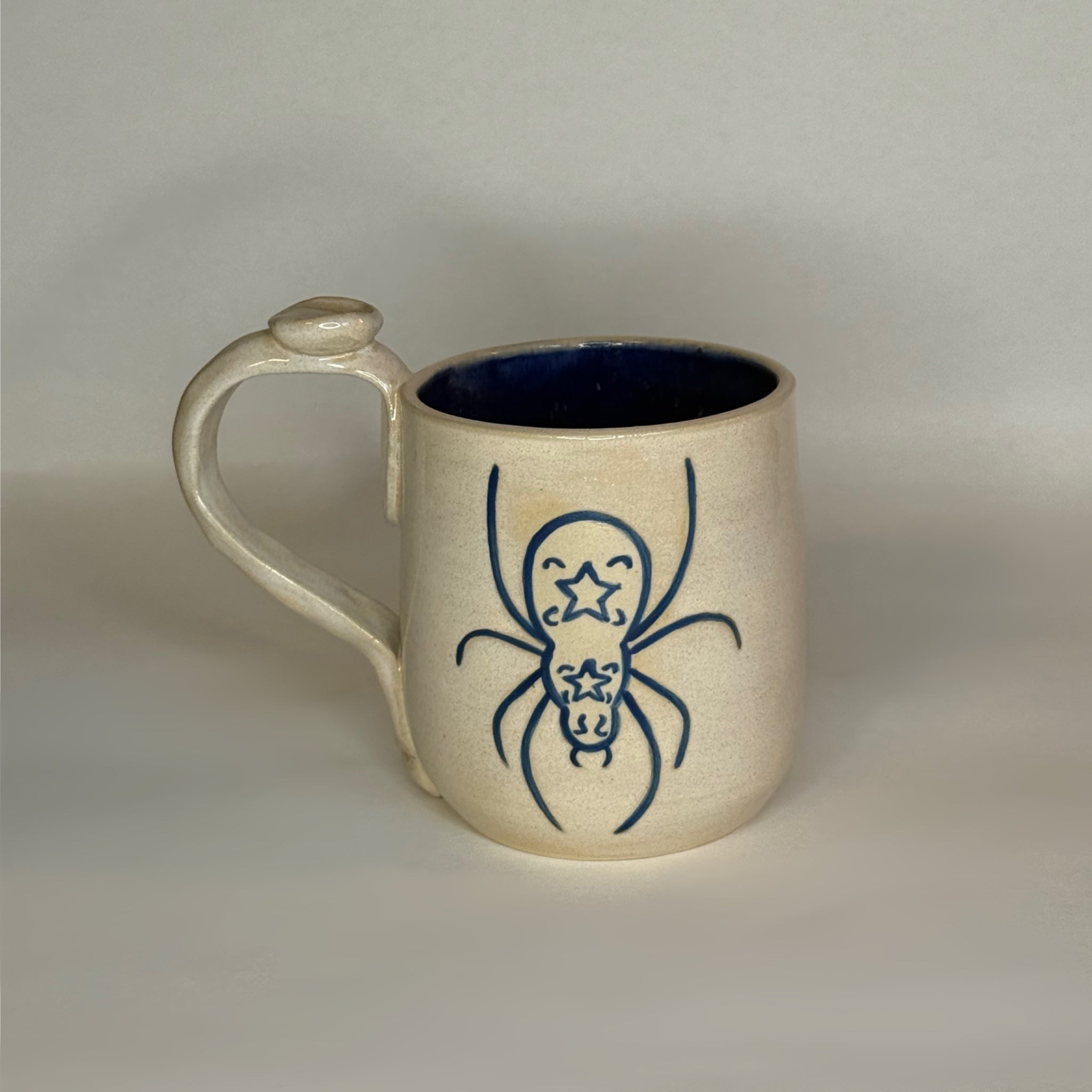 Spider & Dragonfly Mug