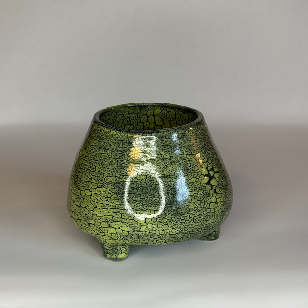 Cauldron Green Scales